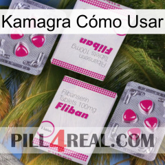 Kamagra Cómo Usar 33